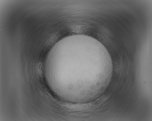 X0000052950036200507151721