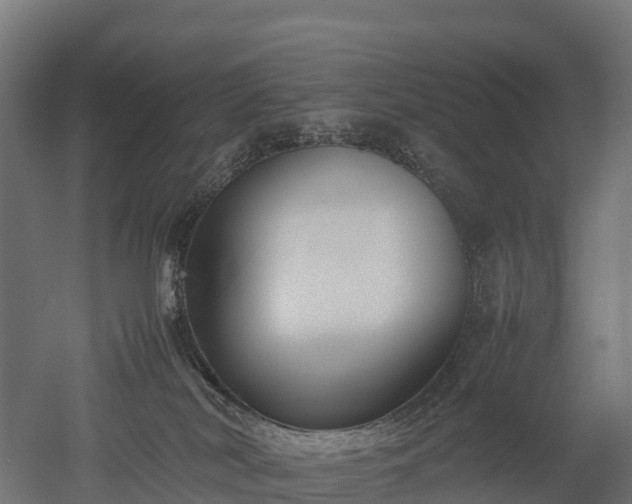 X0000052950038200507151721