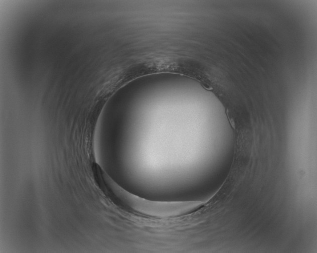 X0000052950039200507151721