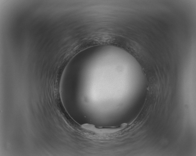 X0000052950040200507151721