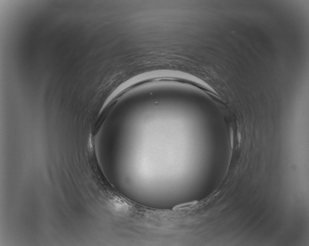 X0000052950041200507151721