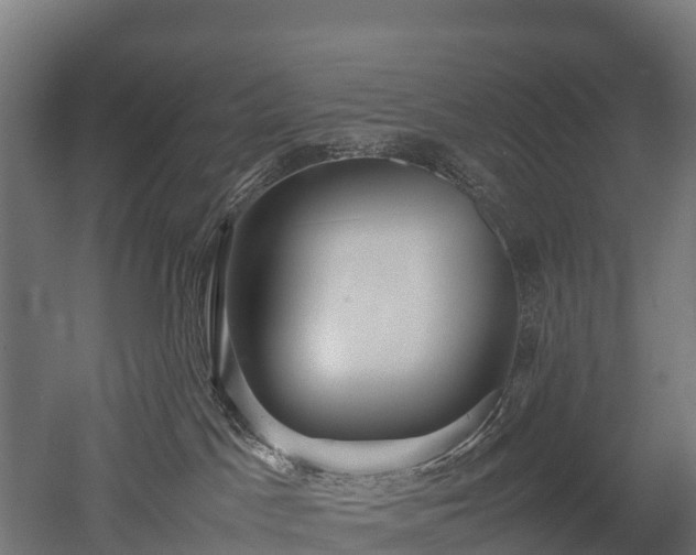 X0000052950045200507151721