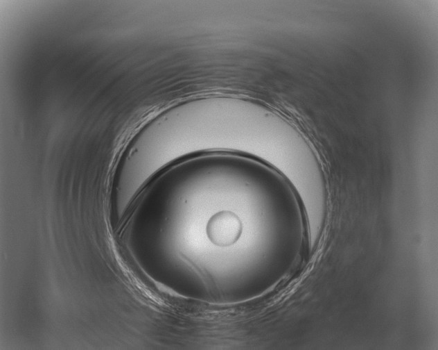 X0000052950049200507151720