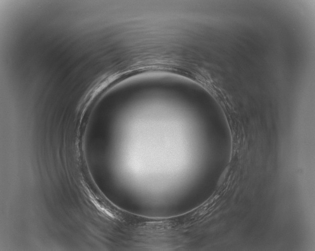 X0000052950050200507151720