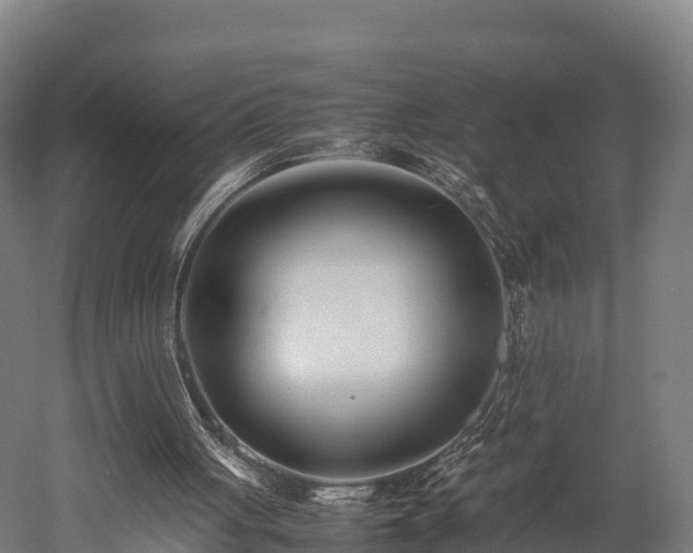 X0000052950051200507151720