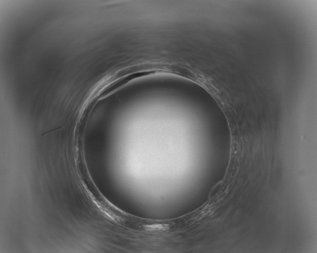 X0000052950053200507151720