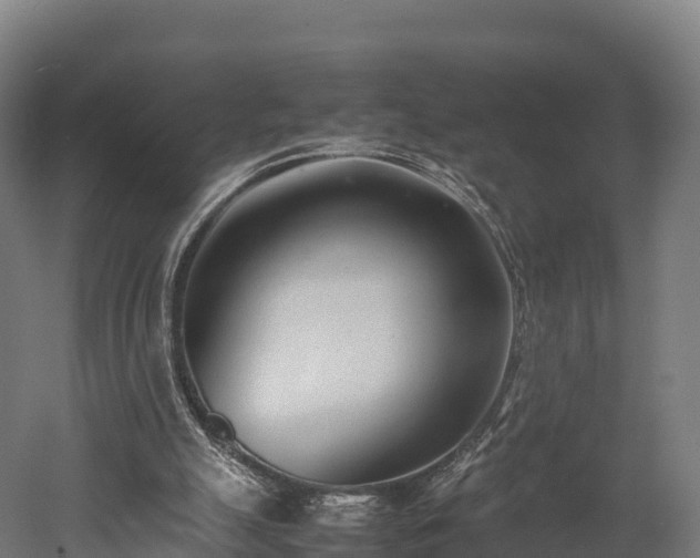 X0000052950055200507151720