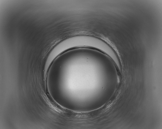 X0000052950057200507151720