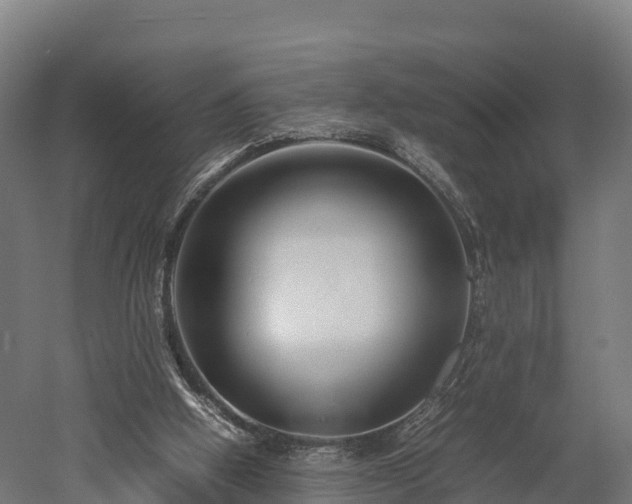 X0000052950058200507151720