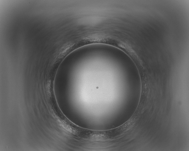 X0000052950066200507151720