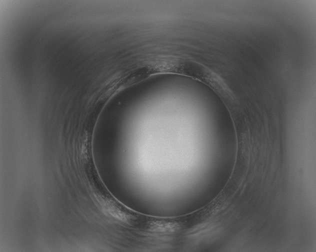 X0000052950073200507151720