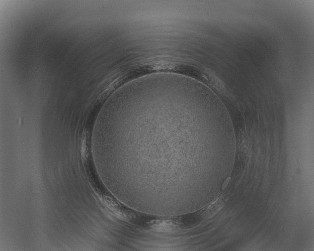 X0000052950074200507151720