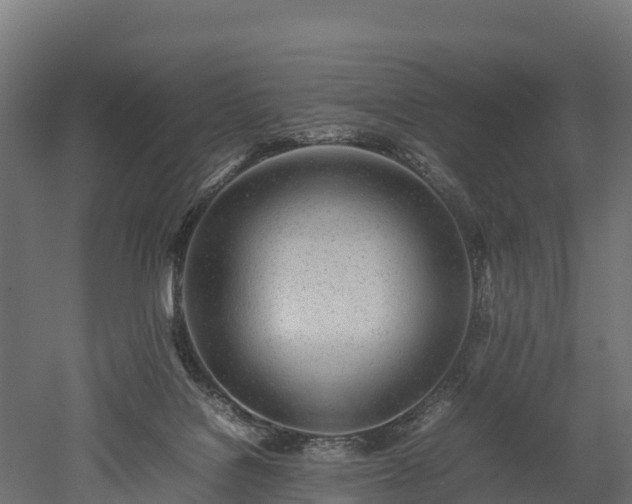 X0000052950076200507151720