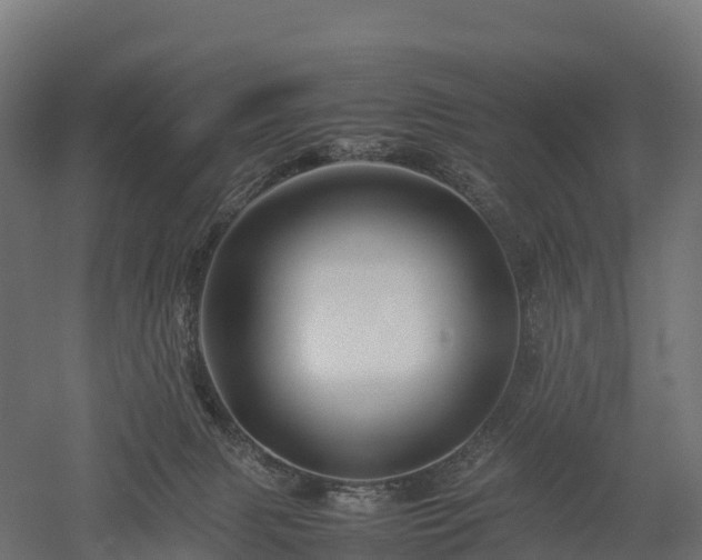 X0000052950079200507151720