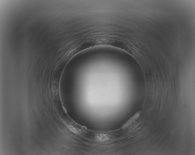 X0000052950091200507151721