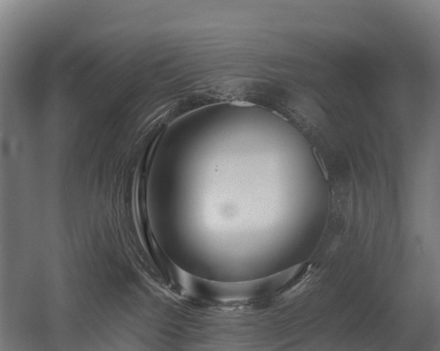 X0000052950092200507151721