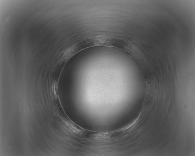 X0000052950094200507151721
