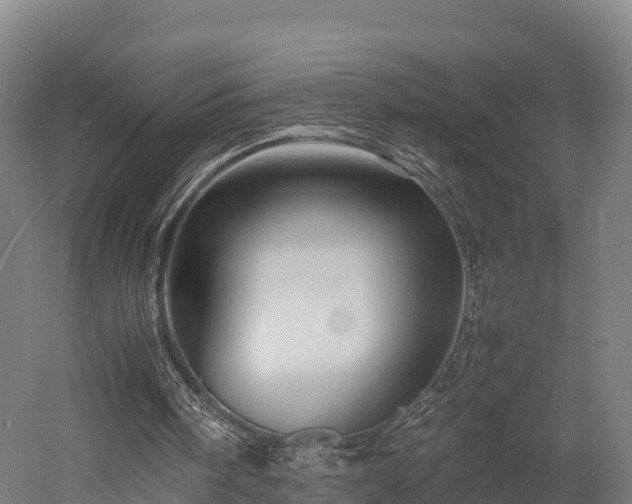 X0000052950098200507151720