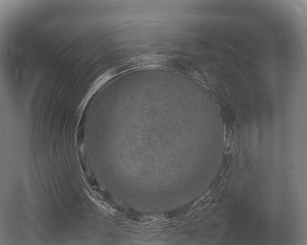 X0000052950099200507151720