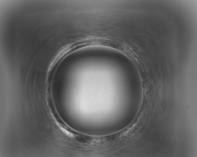 X0000052950101200507151720