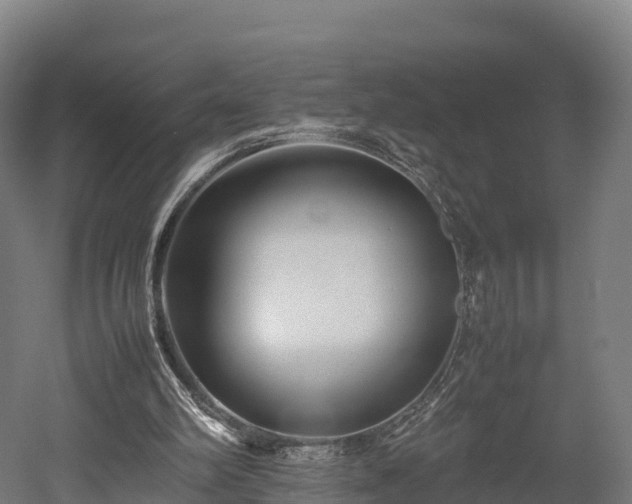 X0000052950102200507151720