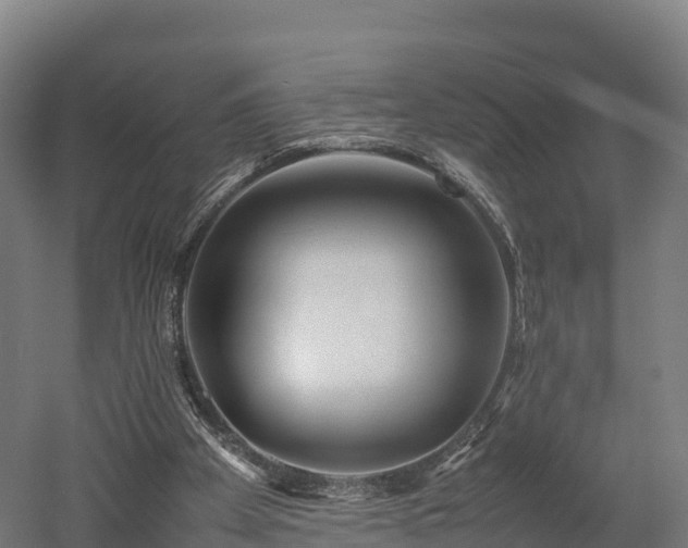 X0000052950105200507151720