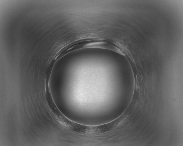 X0000052950109200507151720