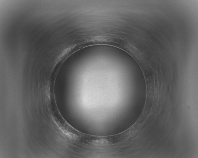 X0000052950112200507151720