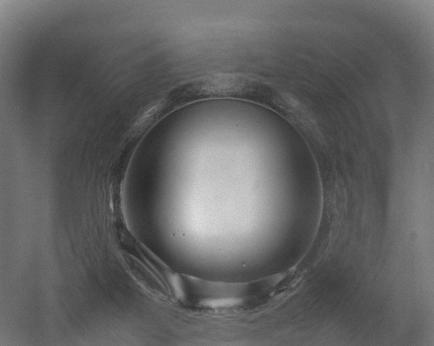 X0000052950115200507151719
