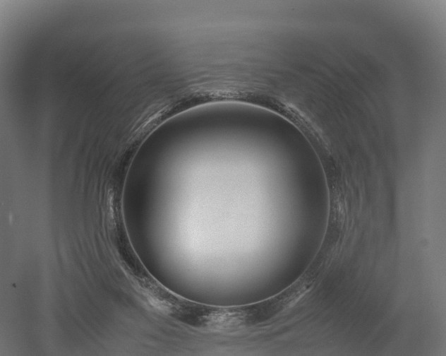 X0000052950117200507151719