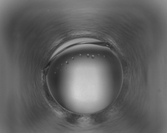 X0000052950119200507151719
