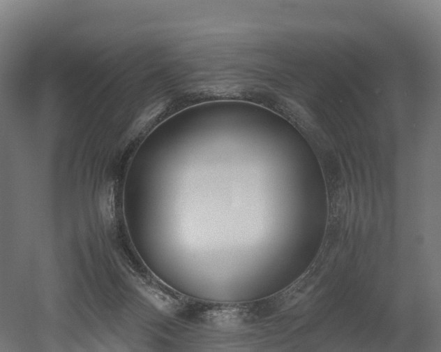 X0000052950120200507151719