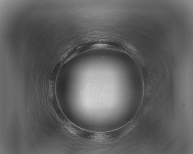 X0000052950121200507151719