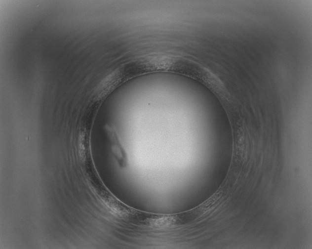 X0000052950122200507151719