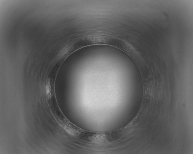 X0000052950124200507151719