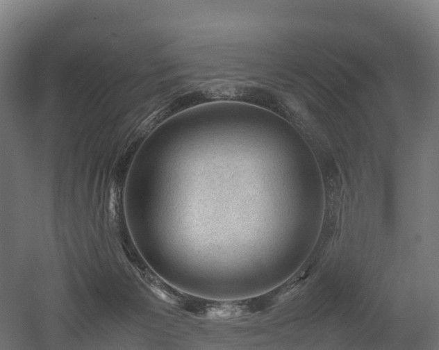 X0000052950125200507151719