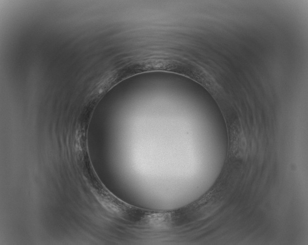 X0000052950126200507151719