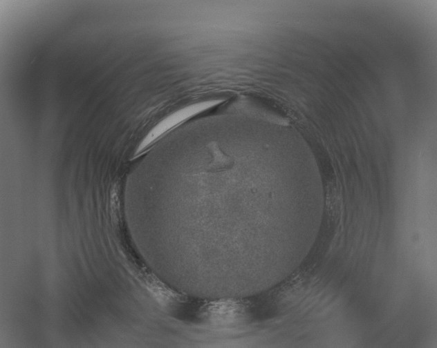 X0000052950127200507151719