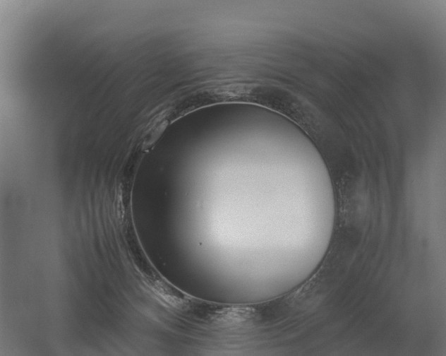 X0000052950128200507151719