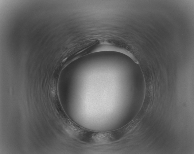 X0000052950129200507151719
