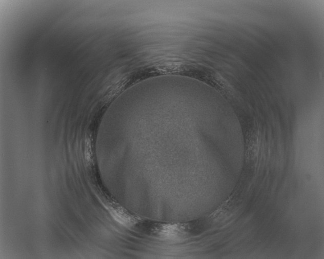 X0000052950130200507151719