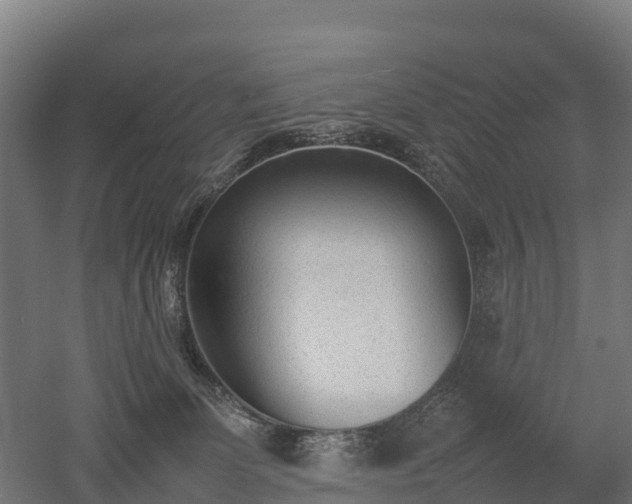 X0000052950131200507151719