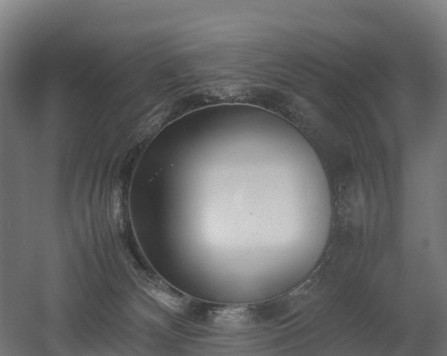 X0000052950132200507151719