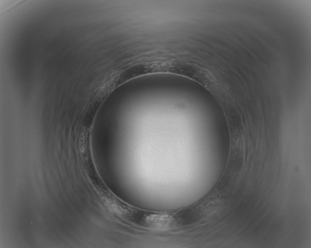 X0000052950133200507151719