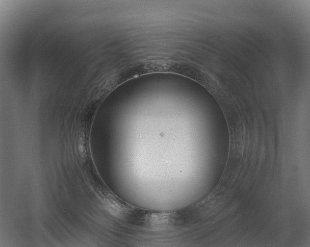 X0000052950134200507151719