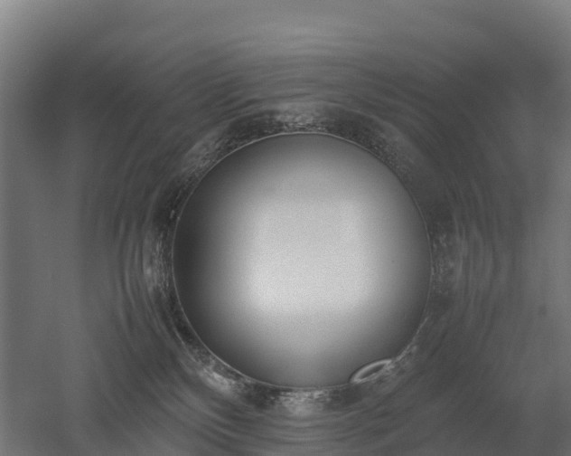 X0000052950136200507151719