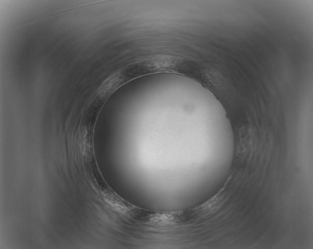 X0000052950140200507151719