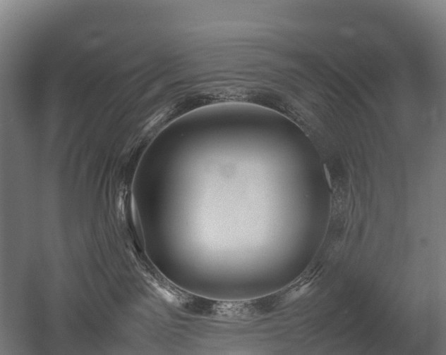 X0000052950141200507151719