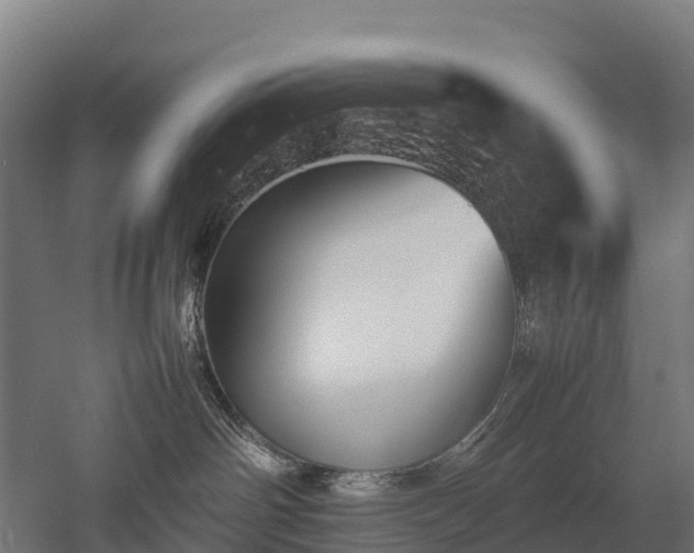 X0000052950142200507151719