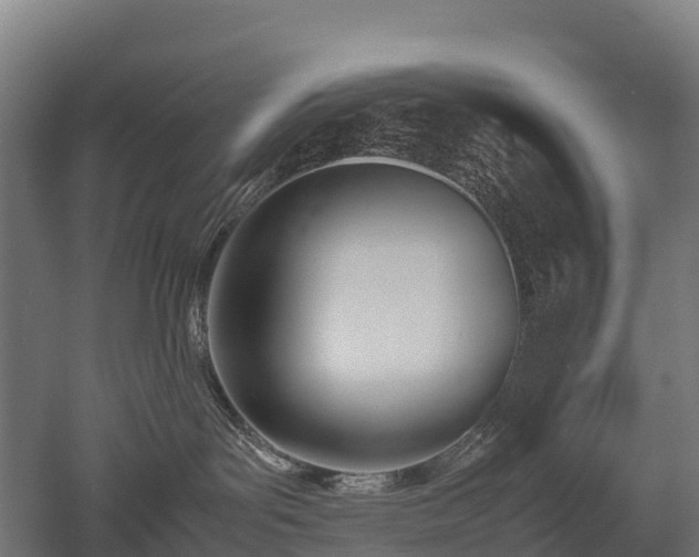 X0000052950143200507151719